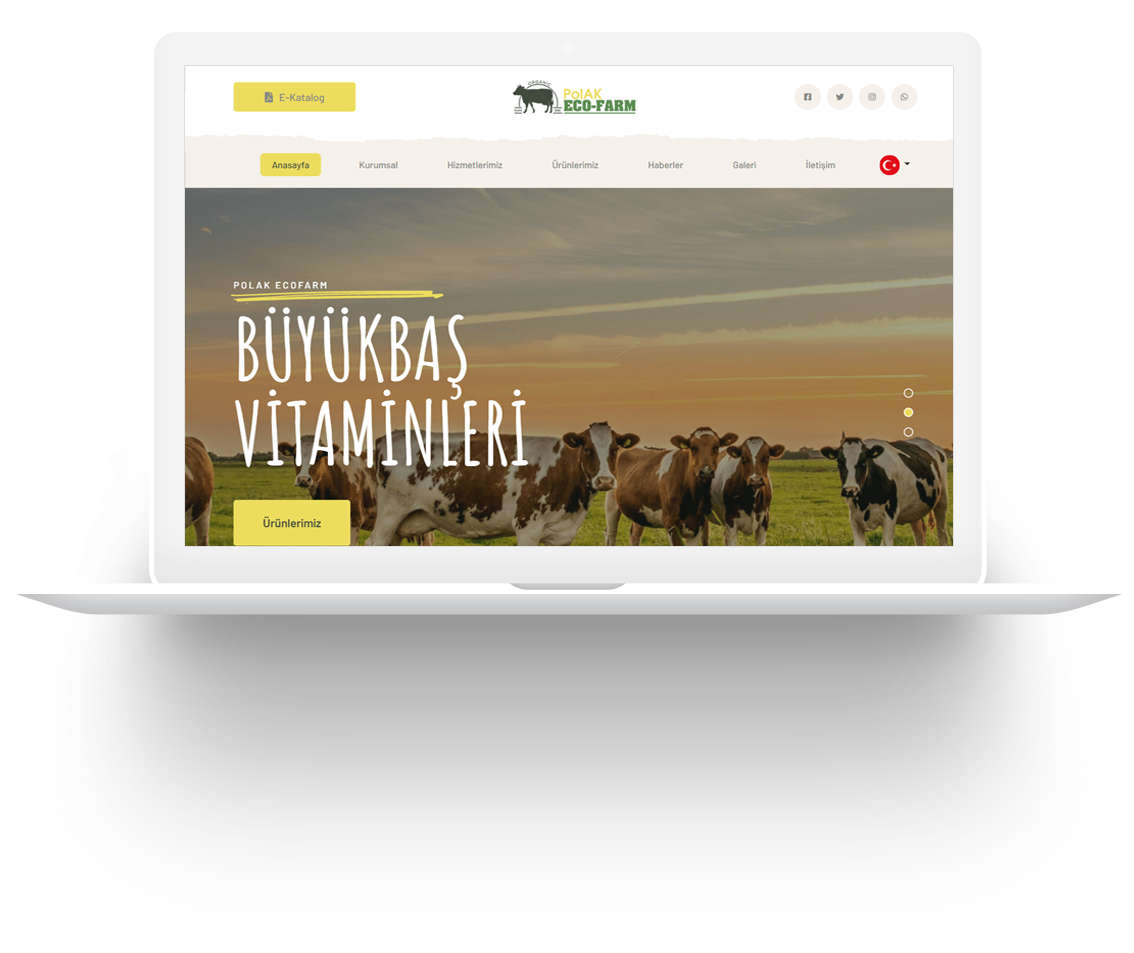 Gaziantep Web Tasarım
